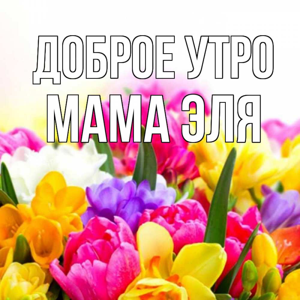 Открытка на каждый день с именем, Мама-Эля Доброе утро создать открытку со свое подписью Прикольная открытка с пожеланием онлайн скачать бесплатно 
