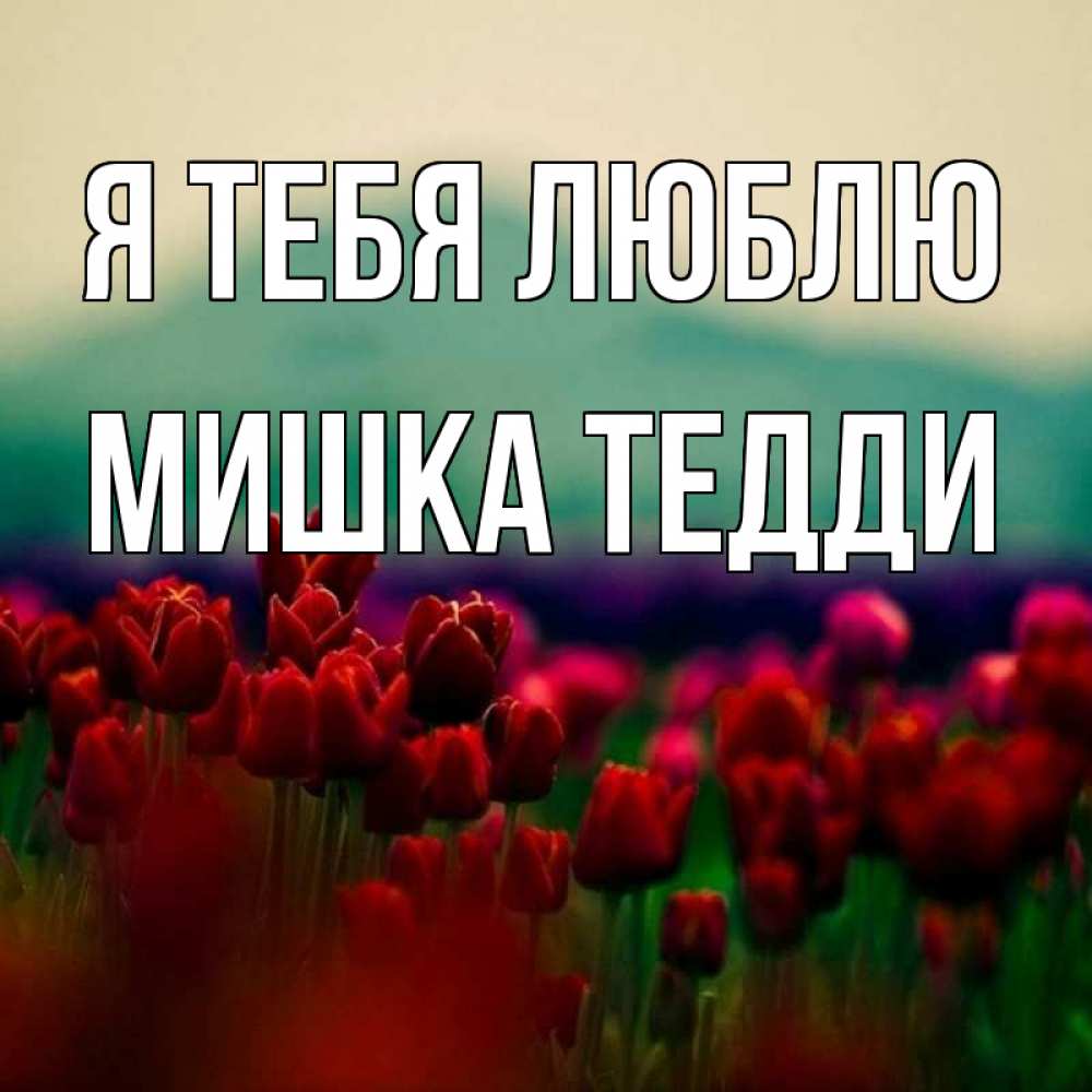 Открытка на каждый день с именем, Мишка-Тедди Я тебя люблю тюльпаны 4 Прикольная открытка с пожеланием онлайн скачать бесплатно 