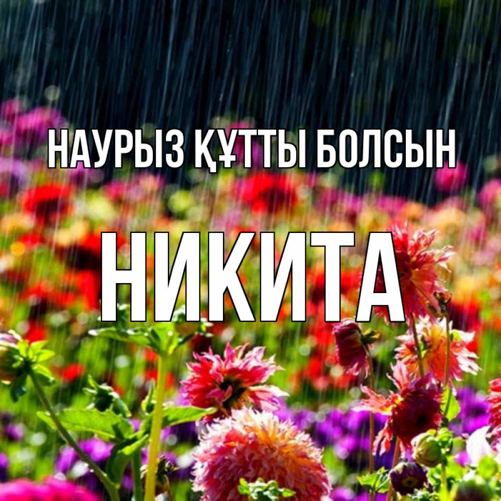 Открытка на каждый день с именем, Никита Наурыз құтты болсын цветы под дождиком к наурызу Прикольная открытка с пожеланием онлайн скачать бесплатно 