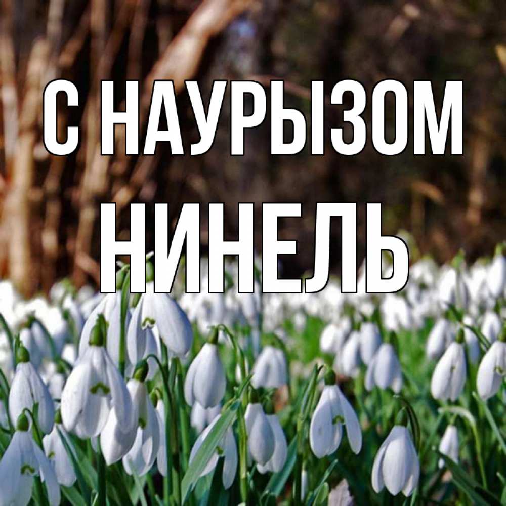 Открытка на каждый день с именем, Нинель С наурызом с подснежниками 1 Прикольная открытка с пожеланием онлайн скачать бесплатно 