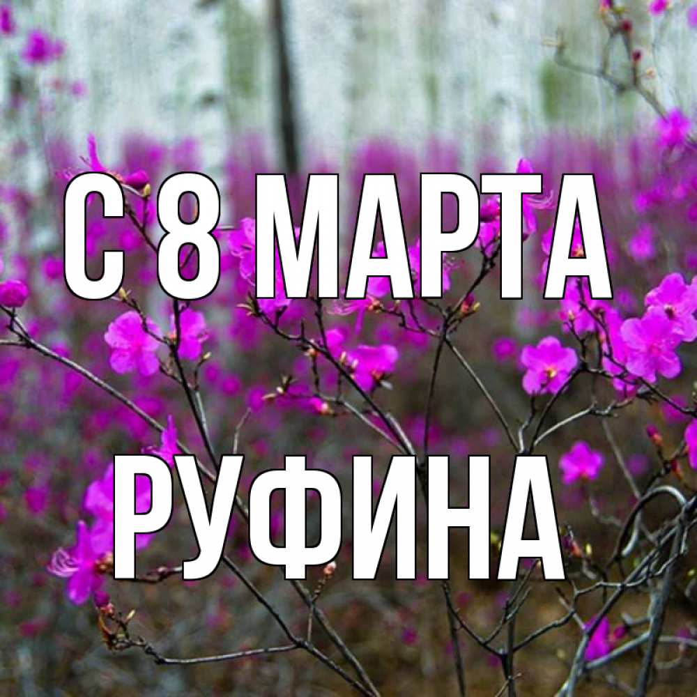 Открытка на каждый день с именем, Руфина С 8 МАРТА дикие цветы Прикольная открытка с пожеланием онлайн скачать бесплатно 