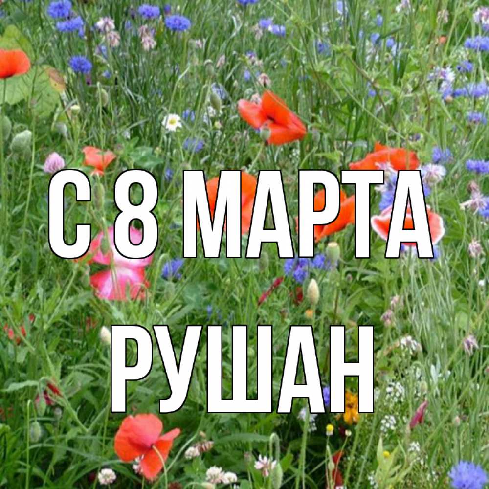Открытка на каждый день с именем, Рушан С 8 МАРТА международный женский день 4 Прикольная открытка с пожеланием онлайн скачать бесплатно 