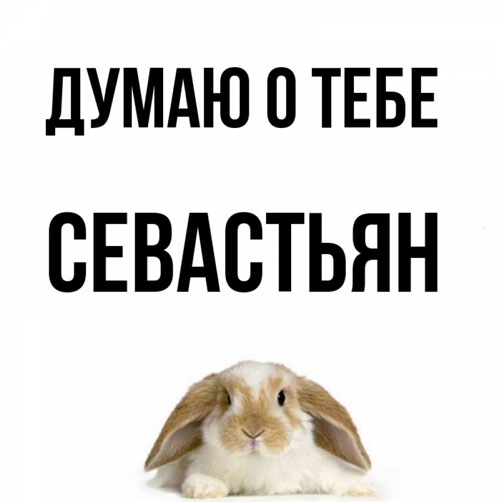Открытка на каждый день с именем, Севастьян Думаю о тебе подписать своими руками онлайн Прикольная открытка с пожеланием онлайн скачать бесплатно 