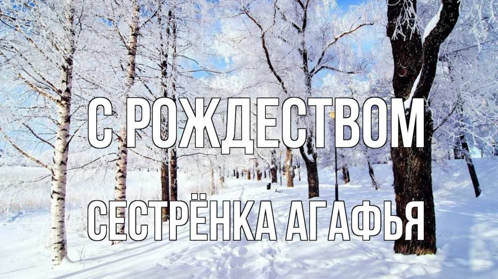 Открытка на каждый день с именем, Сестрёнка-Агафья С рождеством зимний лес Прикольная открытка с пожеланием онлайн скачать бесплатно 
