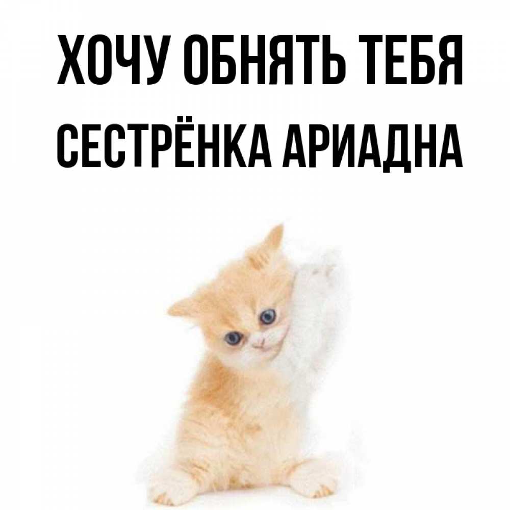 Открытка на каждый день с именем, Сестрёнка-Ариадна Хочу обнять тебя я хочу очень скорее обнимаешек Прикольная открытка с пожеланием онлайн скачать бесплатно 