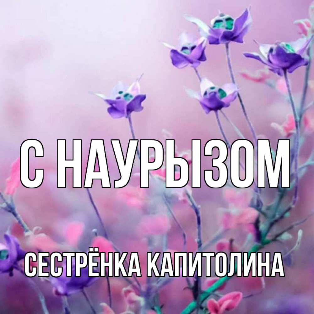 Открытка на каждый день с именем, Сестрёнка-Капитолина С наурызом международный женский день 2 Прикольная открытка с пожеланием онлайн скачать бесплатно 