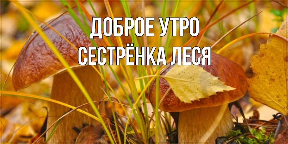Открытка на каждый день с именем, Сестрёнка-Леся Доброе утро осенние грибы Прикольная открытка с пожеланием онлайн скачать бесплатно 