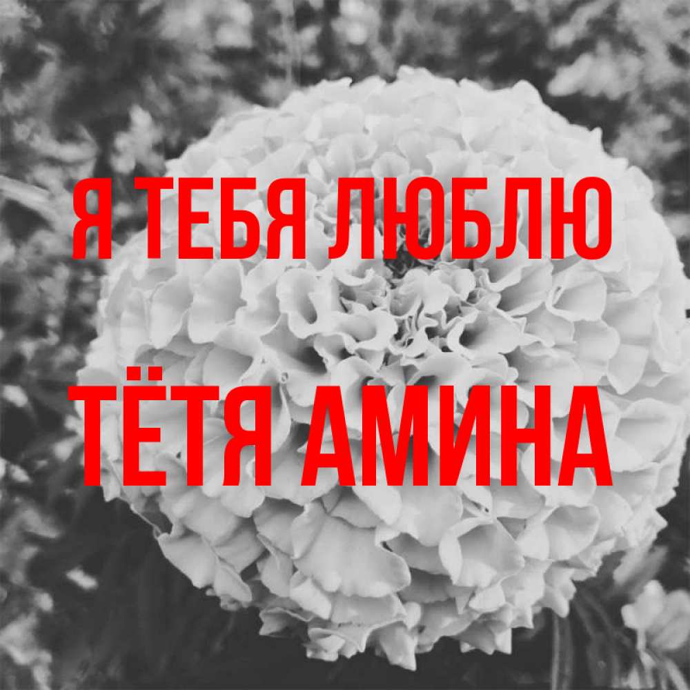 Открытка на каждый день с именем, Тётя-Амина Я тебя люблю подпись Прикольная открытка с пожеланием онлайн скачать бесплатно 