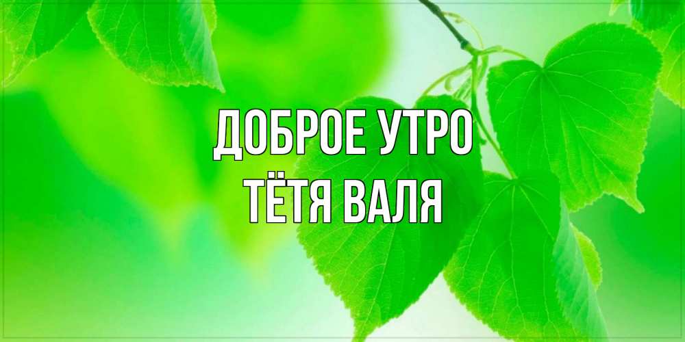 Открытка на каждый день с именем, Тётя-Валя Доброе утро доброе утро с березовыми листьями Прикольная открытка с пожеланием онлайн скачать бесплатно 