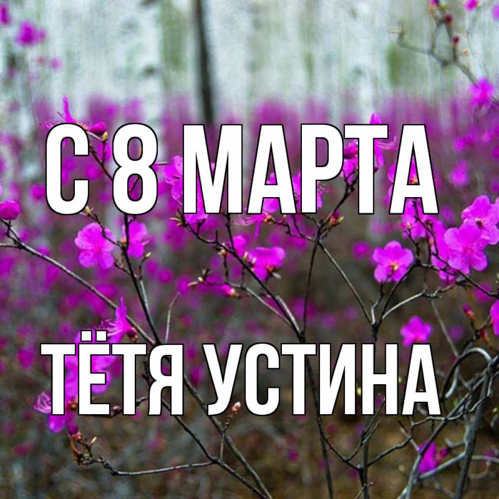 Открытка на каждый день с именем, Тётя-Устина С 8 МАРТА дикие цветы Прикольная открытка с пожеланием онлайн скачать бесплатно 