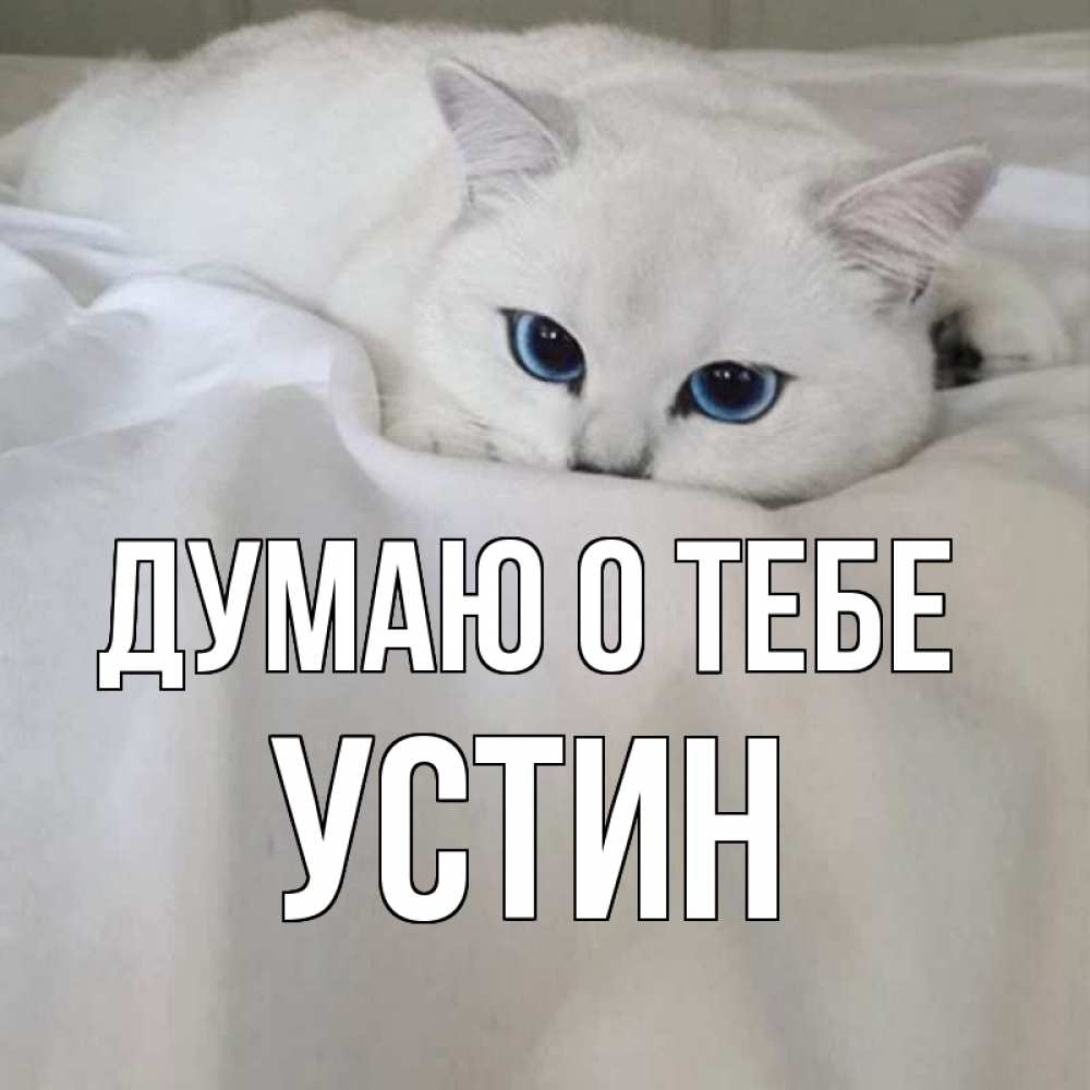 Открытка на каждый день с именем, Устин Думаю о тебе я очень по тебе скучаю и тоскую Прикольная открытка с пожеланием онлайн скачать бесплатно 