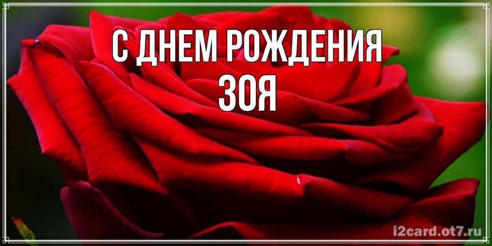 Открытка на каждый день с именем, зоя С днем рождения розочка очень красивая Прикольная открытка с пожеланием онлайн скачать бесплатно 