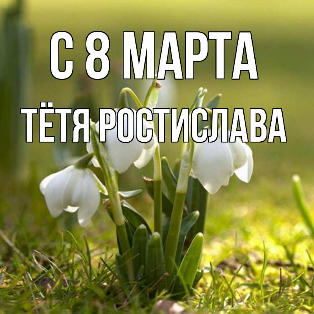 Открытка на каждый день с именем, Тётя-Ростислава С 8 марта ранние цветы 2 Прикольная открытка с пожеланием онлайн скачать бесплатно 