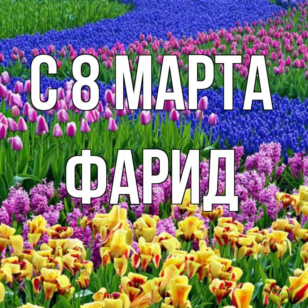 Открытка на каждый день с именем, Фарид С 8 МАРТА цветы Прикольная открытка с пожеланием онлайн скачать бесплатно 