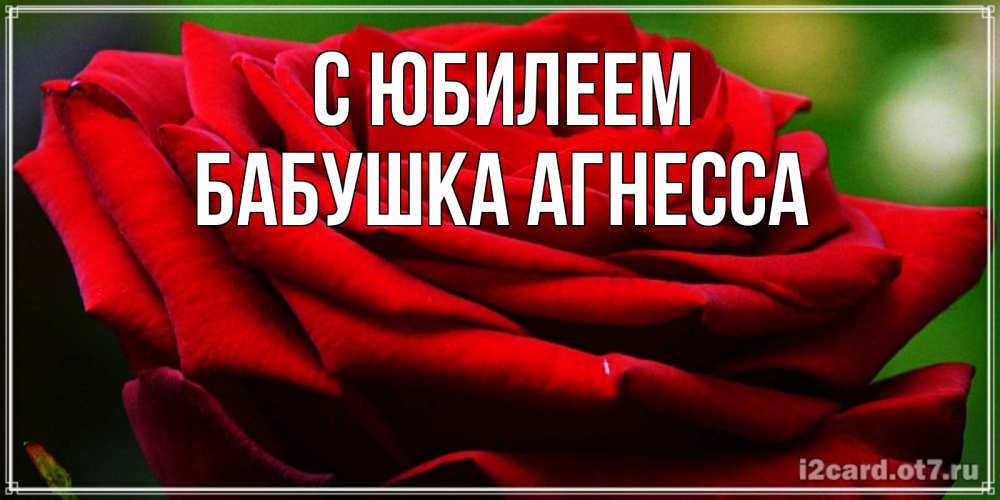 Открытка на каждый день с именем, Бабушка-Агнесса С юбилеем розочка очень красивая Прикольная открытка с пожеланием онлайн скачать бесплатно 