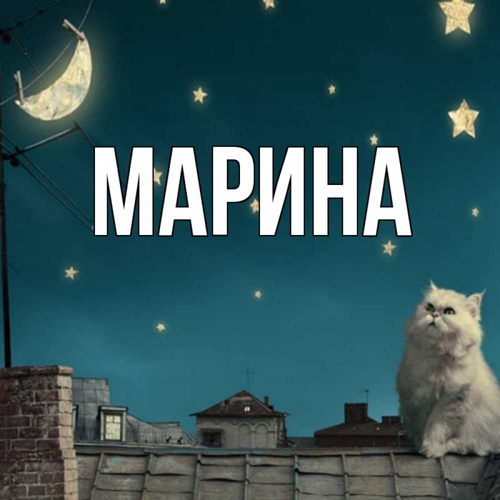 Открытка на каждый день с именем, Марина Главная белый кот сидит на крыше Прикольная открытка с пожеланием онлайн скачать бесплатно 