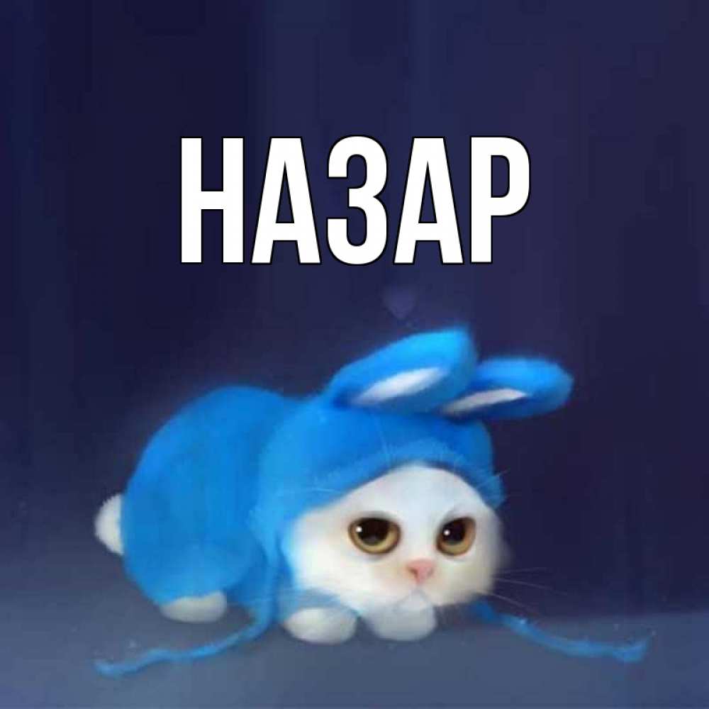 Открытка на каждый день с именем, Назар Главная кот в голубом костюме кролика с ушками Прикольная открытка с пожеланием онлайн скачать бесплатно 