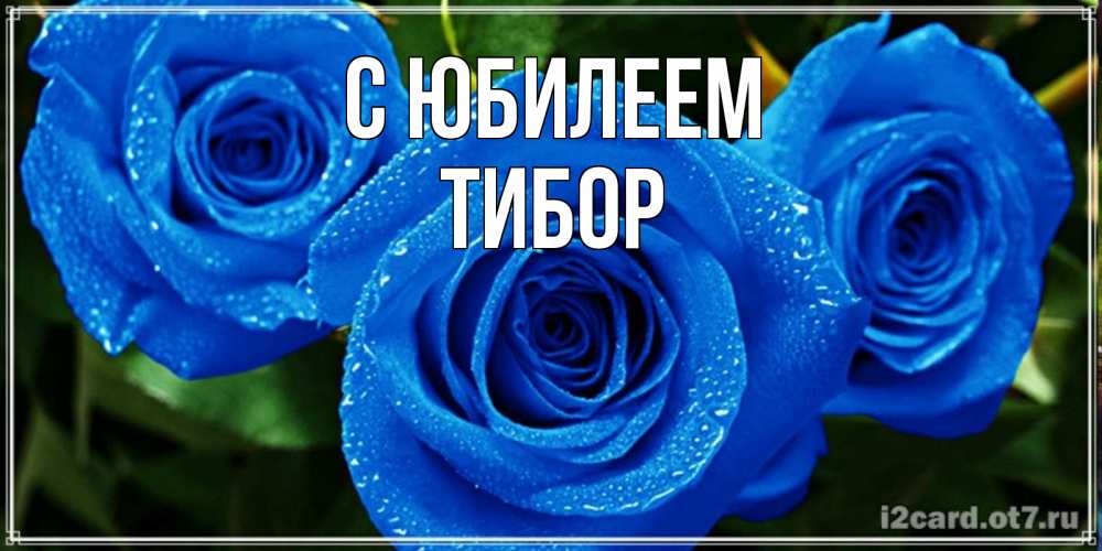 Открытка на каждый день с именем, Тибор С юбилеем розы с синим цветом Прикольная открытка с пожеланием онлайн скачать бесплатно 