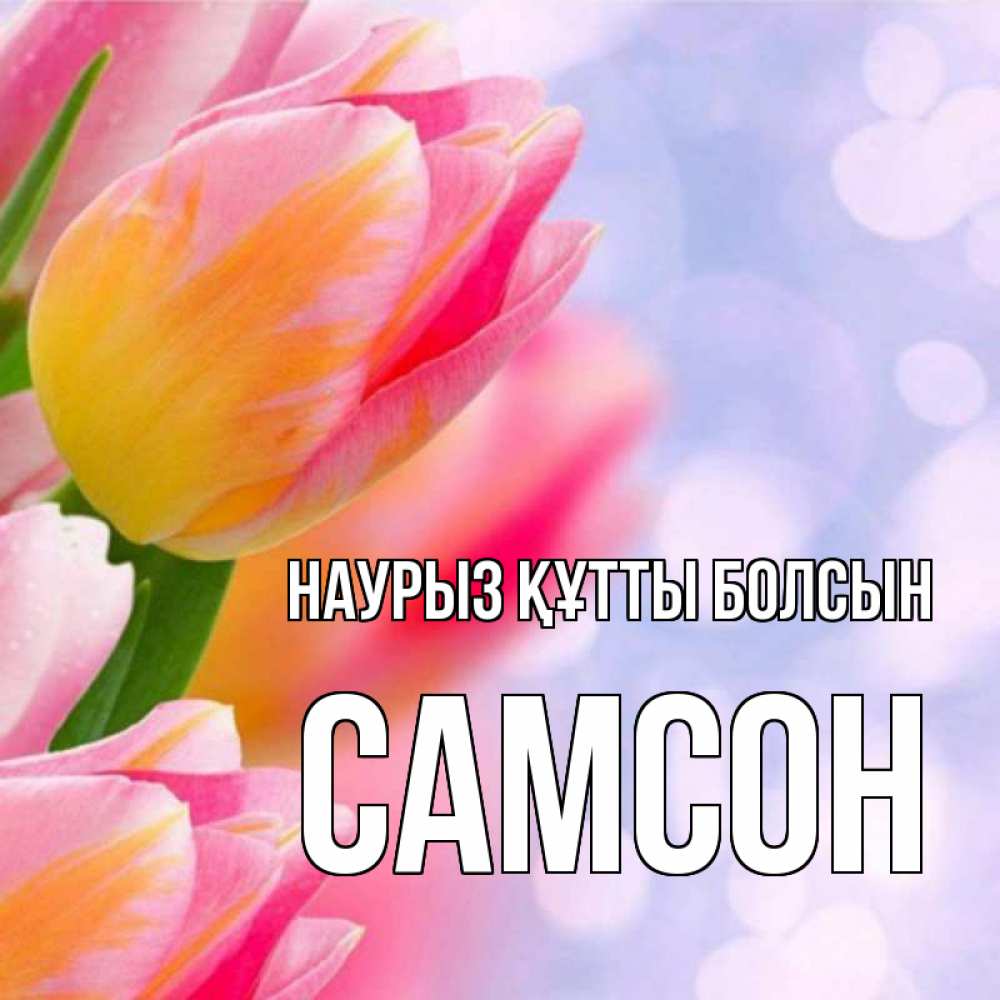 Открытка на каждый день с именем, Самсон Наурыз құтты болсын тюльпаны 2 Прикольная открытка с пожеланием онлайн скачать бесплатно 