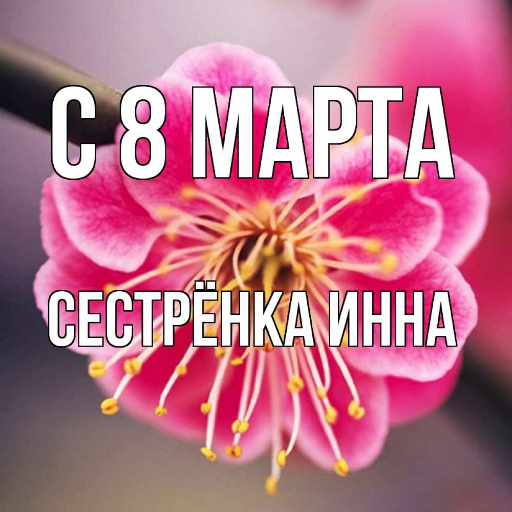 Открытка на каждый день с именем, Сестрёнка-Инна С 8 МАРТА цветы Прикольная открытка с пожеланием онлайн скачать бесплатно 