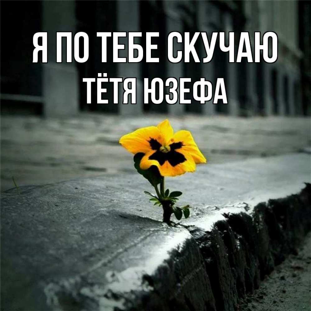 Открытка на каждый день с именем, Тётя-Юзефа Я по тебе скучаю надеюсь будет лучше Прикольная открытка с пожеланием онлайн скачать бесплатно 