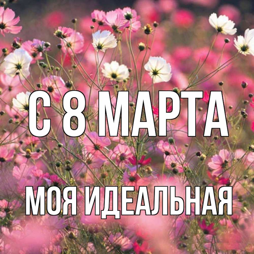 Открытка на каждый день с именем, Моя-идеальная С 8 марта красиво 1 Прикольная открытка с пожеланием онлайн скачать бесплатно 