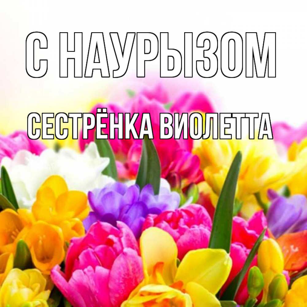 Открытка на каждый день с именем, Сестрёнка-Виолетта С наурызом тюльпаны Прикольная открытка с пожеланием онлайн скачать бесплатно 