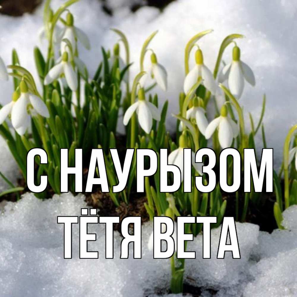 Открытка на каждый день с именем, Тётя-Вета С наурызом цветы весенние Прикольная открытка с пожеланием онлайн скачать бесплатно 