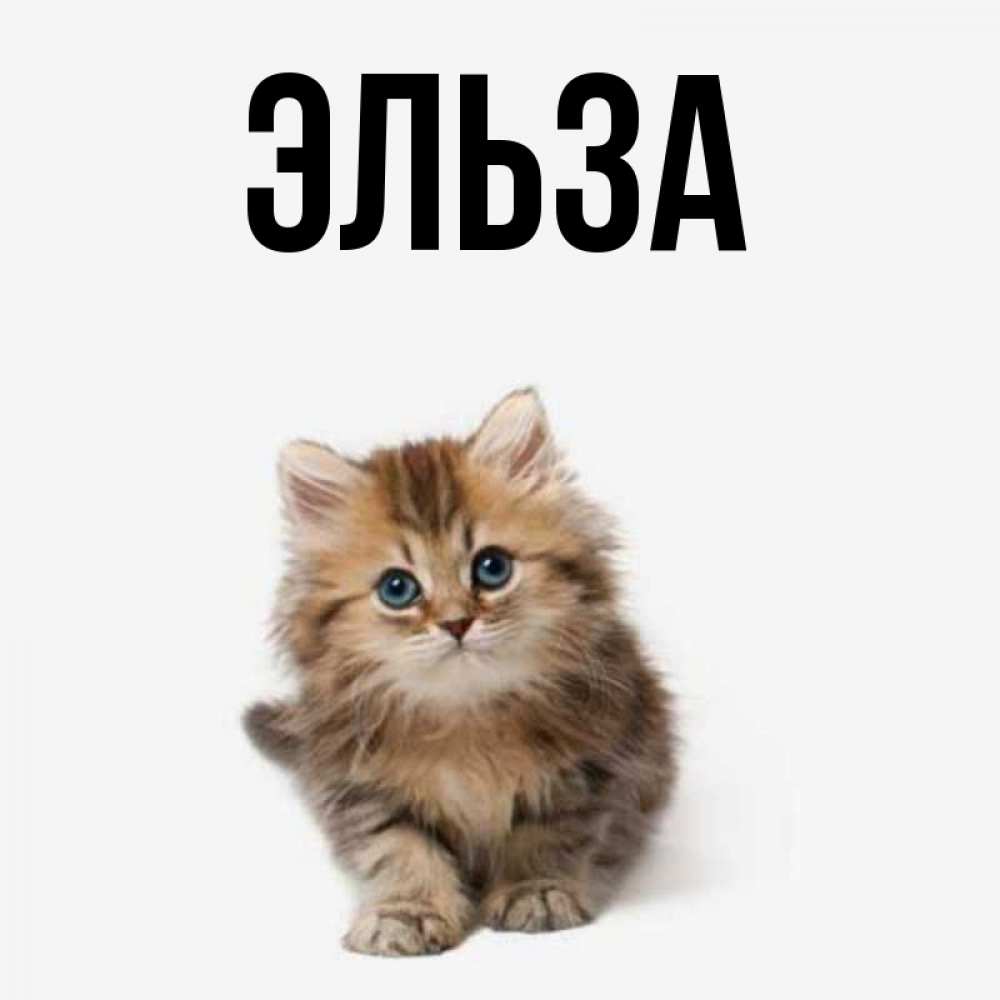 Картинка  с именем , Эльза