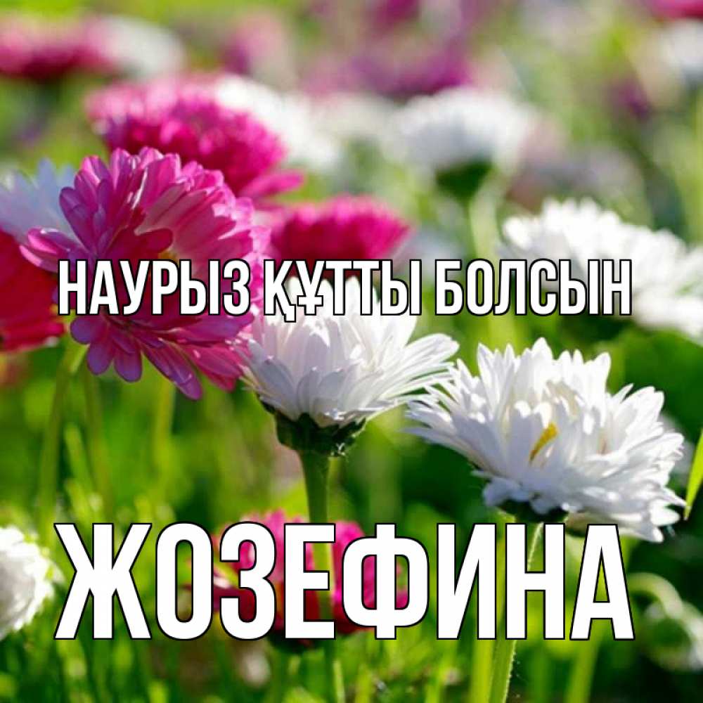 Открытка на каждый день с именем, Жозефина Наурыз құтты болсын наурыз Прикольная открытка с пожеланием онлайн скачать бесплатно 