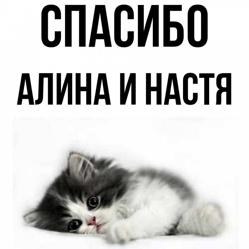 Спасибо настя картинки