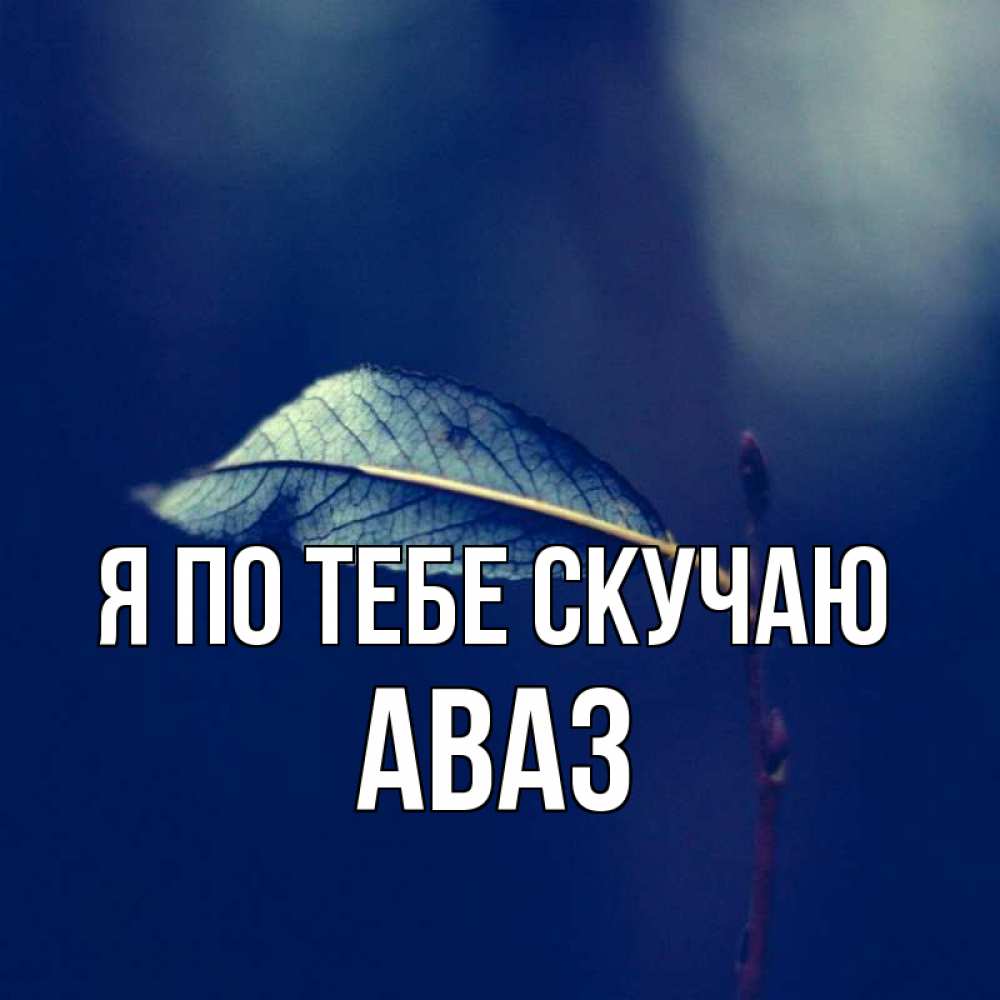Открытка на каждый день с именем, Аваз Я по тебе скучаю одна ветка 1 Прикольная открытка с пожеланием онлайн скачать бесплатно 