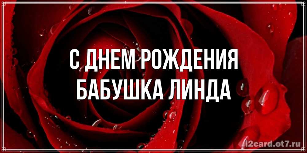 Открытка на каждый день с именем, Бабушка-Линда С днем рождения крупная бордовая роза Прикольная открытка с пожеланием онлайн скачать бесплатно 