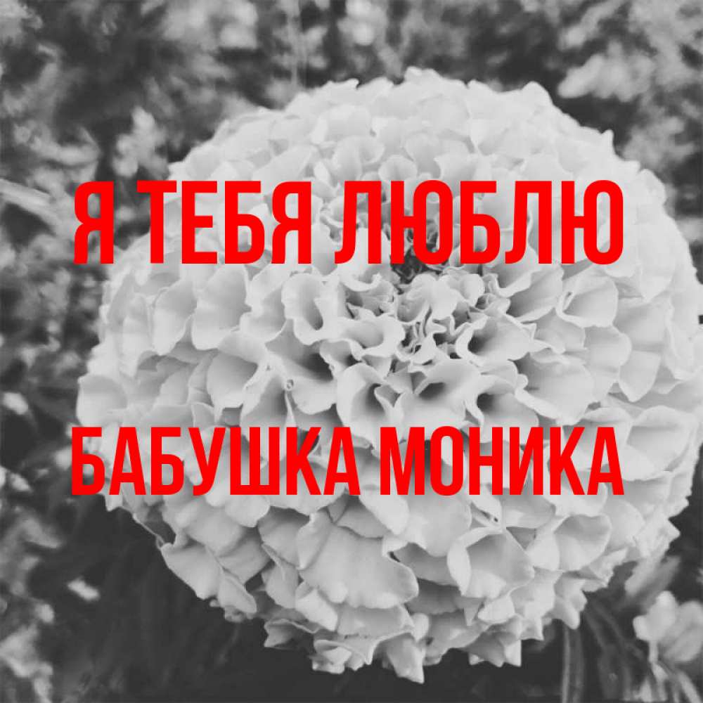 Открытка на каждый день с именем, Бабушка-Моника Я тебя люблю подпись Прикольная открытка с пожеланием онлайн скачать бесплатно 