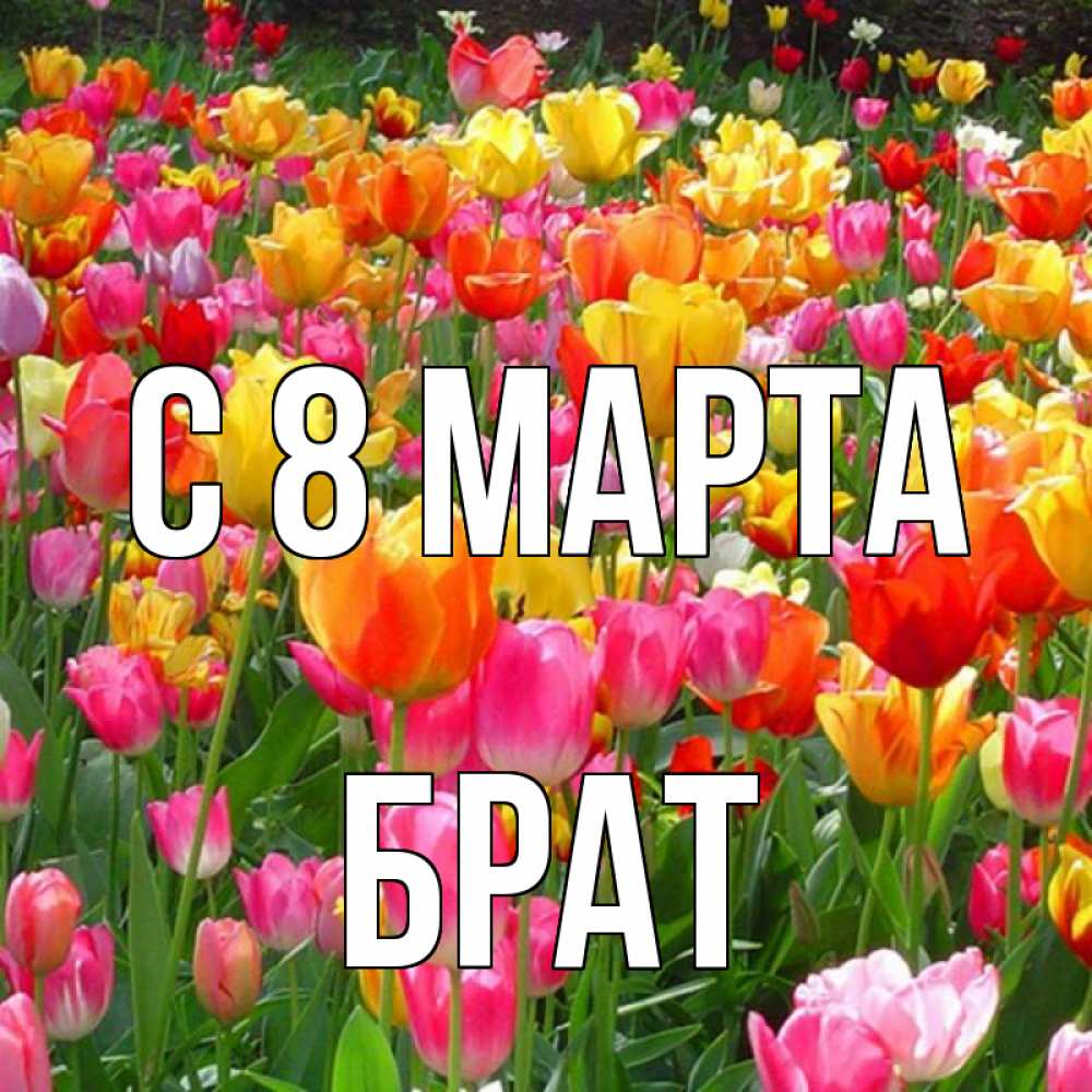 Открытка на каждый день с именем, Брат С 8 марта на международный женский день Прикольная открытка с пожеланием онлайн скачать бесплатно 