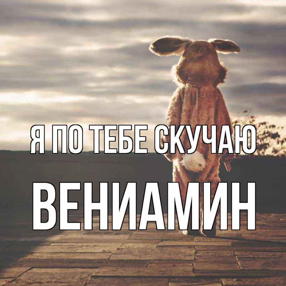 Открытка на каждый день с именем, Вениамин Я по тебе скучаю даже в костюме зайца Прикольная открытка с пожеланием онлайн скачать бесплатно 