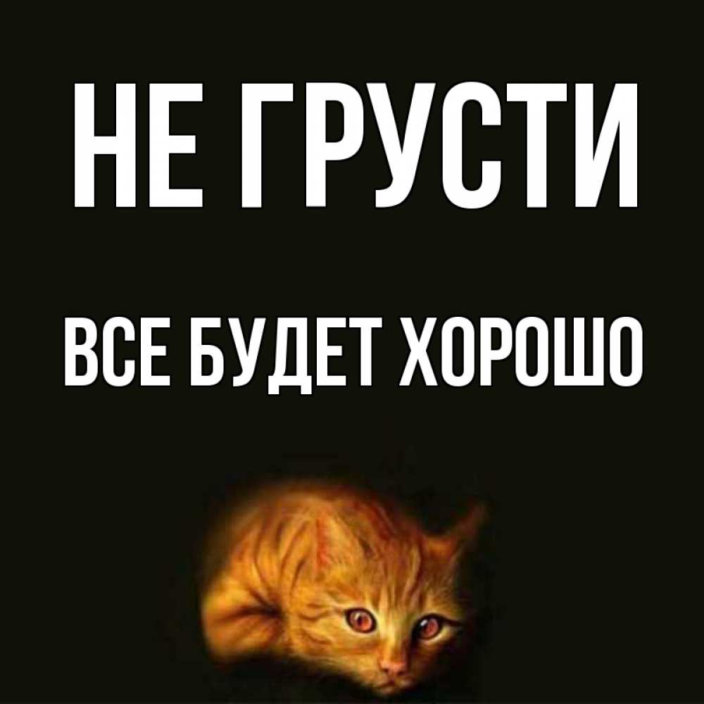 Открытка на каждый день с именем, Все-будет-хорошо Не грусти лежащий кот в темноте Прикольная открытка с пожеланием онлайн скачать бесплатно 