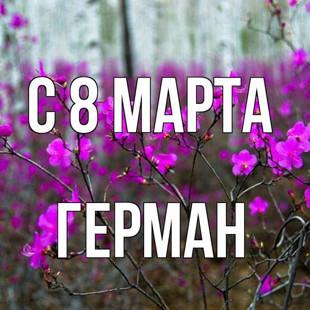 Открытка на каждый день с именем, Герман С 8 МАРТА дикие цветы Прикольная открытка с пожеланием онлайн скачать бесплатно 