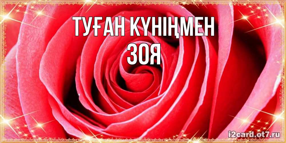 Открытка на каждый день с именем, Зоя Туған күніңмен розовая роза очень крупный бутон Прикольная открытка с пожеланием онлайн скачать бесплатно 
