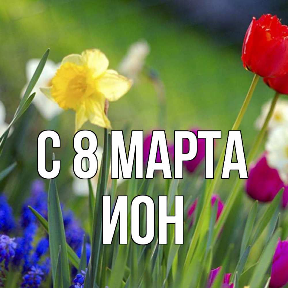 Открытка на каждый день с именем, Ион С 8 МАРТА международный женский день 3 Прикольная открытка с пожеланием онлайн скачать бесплатно 