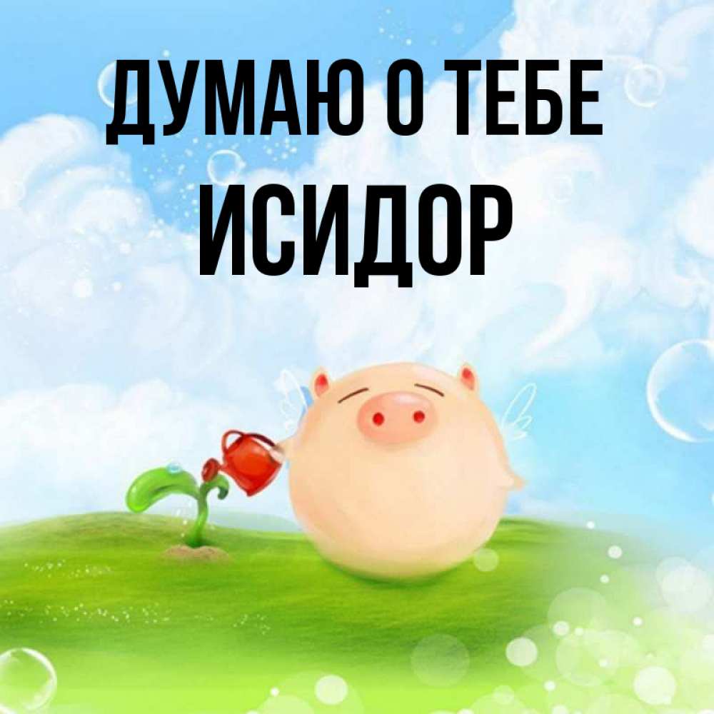 Открытка на каждый день с именем, Исидор Думаю о тебе позитивная свинюшка Прикольная открытка с пожеланием онлайн скачать бесплатно 
