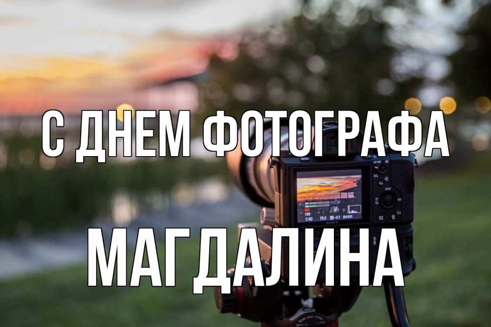 Открытка на каждый день с именем, Магдалина С днем фотографа с днем фотографа Прикольная открытка с пожеланием онлайн скачать бесплатно 