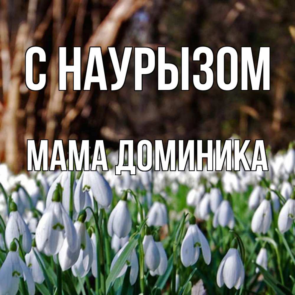 Открытка на каждый день с именем, Мама-Доминика С наурызом с подснежниками 1 Прикольная открытка с пожеланием онлайн скачать бесплатно 