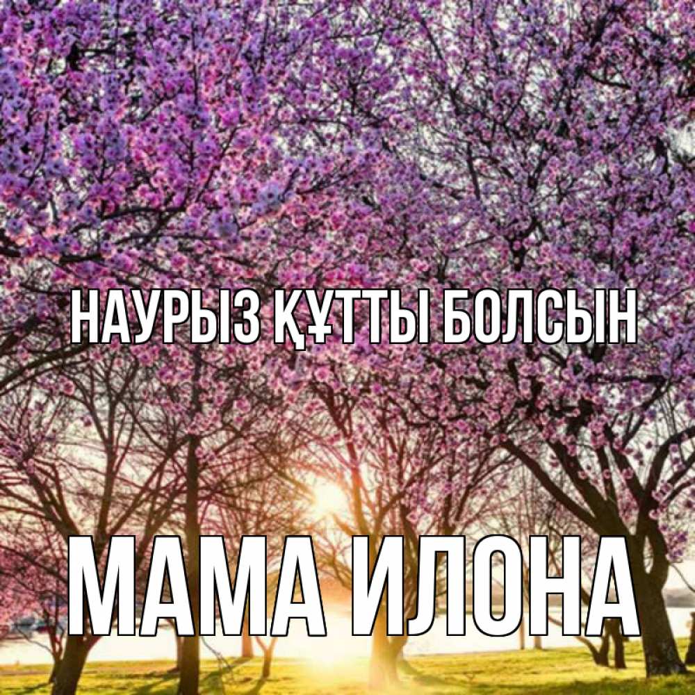 Открытка на каждый день с именем, Мама-Илона Наурыз құтты болсын наурыз Прикольная открытка с пожеланием онлайн скачать бесплатно 