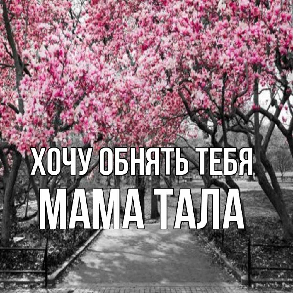 Открытка на каждый день с именем, Мама-Тала Хочу обнять тебя обработанное фото Прикольная открытка с пожеланием онлайн скачать бесплатно 