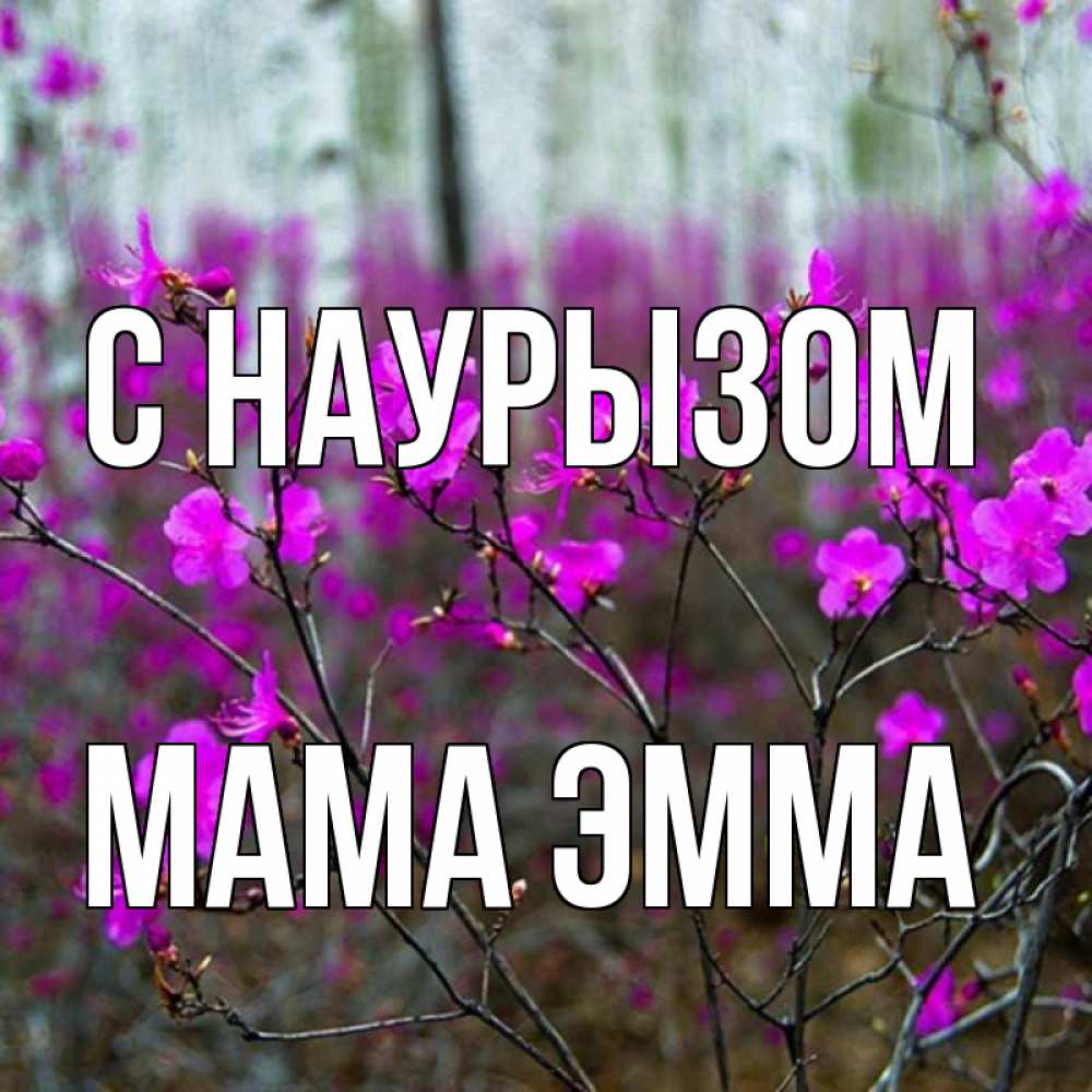 Открытка на каждый день с именем, Мама-Эмма С наурызом дикие цветы Прикольная открытка с пожеланием онлайн скачать бесплатно 