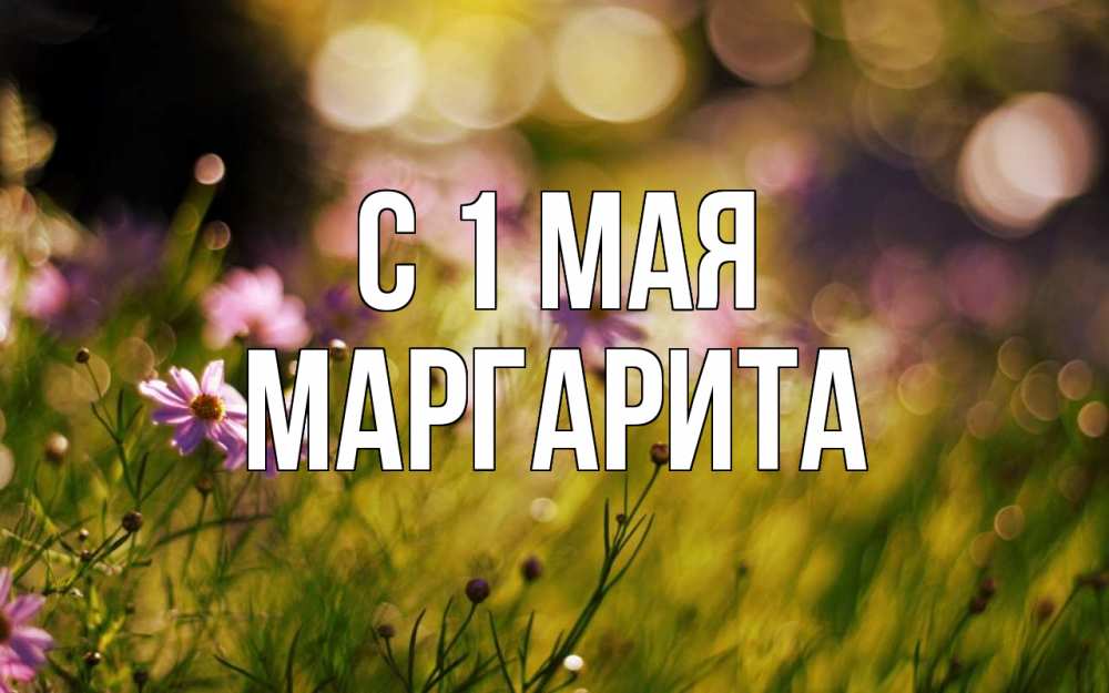 Открытка на каждый день с именем, Маргарита С 1 мая С 1 мая Прикольная открытка с пожеланием онлайн скачать бесплатно 