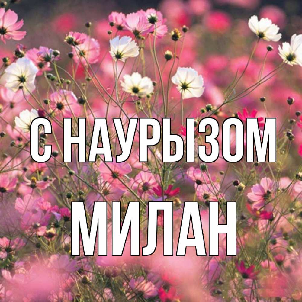 Открытка на каждый день с именем, Милан С наурызом красиво 1 Прикольная открытка с пожеланием онлайн скачать бесплатно 