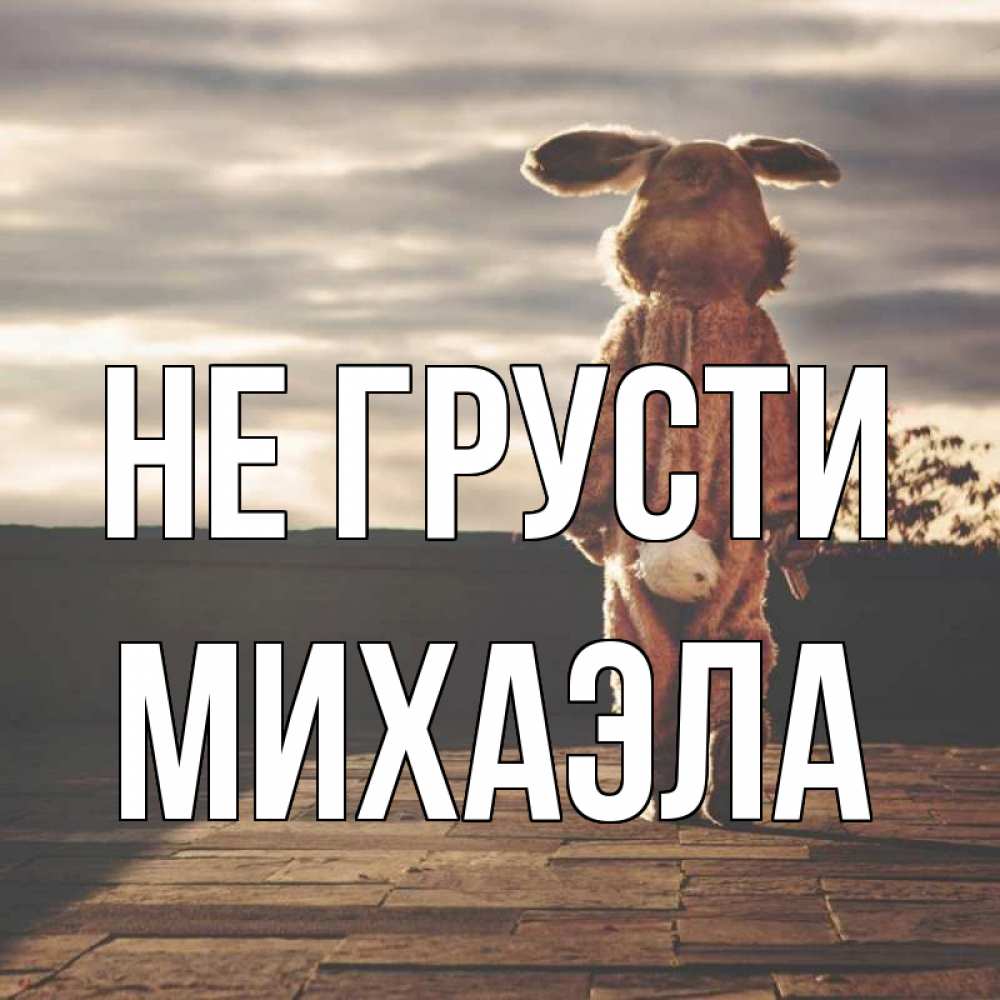 Открытка на каждый день с именем, Михаэла Не грусти со спины Прикольная открытка с пожеланием онлайн скачать бесплатно 