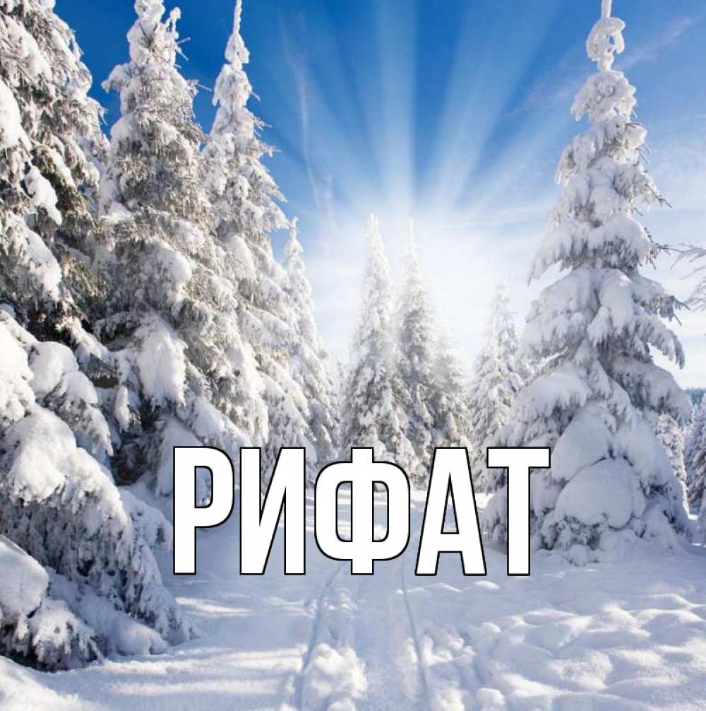 Открытка на каждый день с именем, Рифат Главная зима, лес Прикольная открытка с пожеланием онлайн скачать бесплатно 